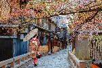 Žena v kimonu, Kyoto
