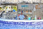 Swim Up Bar