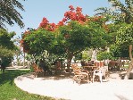 Egypt, Hurghada, Hurghada - GEISUM VILLAGE - Restaurace