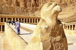 Výlety po Egyptě