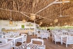 Botanica restaurace
