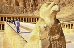 Výlety po Egyptě