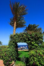 Hotel Tropitel Dahab Oasis dovolená