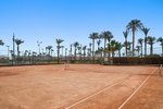 Tenis