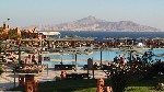 (Egypt, Sinaiský poloostrov, Sharm El Sheikh) - HAUZA BEACH RESORT