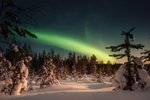 Světla severu v Rovaniemi