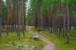 Národní park Rokua, severní Ostrobothnia, Finsko