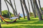 Relax