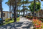 Hotel Camping Cavallino dovolená