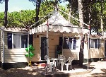 Camping Village Cavallino**** - Cavallino Lido