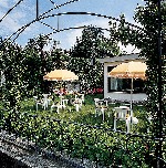 Hotel Lido La Perla Nera dovolená