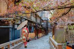 Žena v kimonu, Kyoto