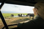Safari