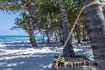 Keňa, Pobřeží, Diani Beach - AMANI TIWI BEACH RESORT