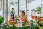 Restaurace