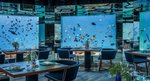 Restaurace