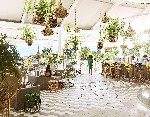 Restaurace Palm Court