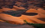 Duny v Wahiba Sands, Omán