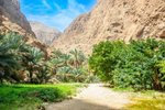 Oáza v kaňonu Wadi Shab, Tiwi, Oman