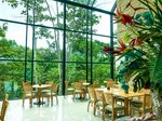 Restaurace
