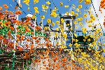 Madeira - květinový festival
