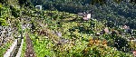 Madeira, místa známá i neznámá - trekking