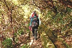 Madeira, místa známá i neznámá - trekking