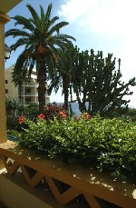 Hotel Pestana Palms dovolená