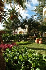 Hotel Pestana Palms dovolená