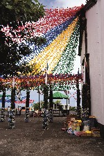 (Portugalsko, Madeira, Funchal) - Slavnosti květin na Madeiře II.