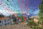(Portugalsko, Madeira, Funchal) - Slavnosti květin na Madeiře II.