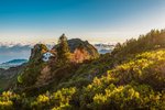 Trekking rozkvetlou Madeirou
