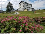 Hotel Berghof Tauplitzalm dovolená