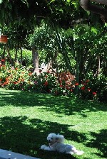 Hotel Stella Maria Apartments dovolená