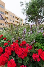 Hotel Top Hotel dovolená