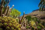 Gran Canaria