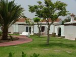 Zahrada 