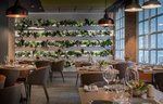 Restaurace