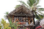 Tanzánie, Zanzibar, Jambiani - SEA VIEW LODGE