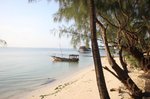Tanzánie, Zanzibar, Uroa - ZANZIBAR BAY RESORT