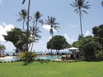 Thajsko, Surat Thani, Ko Samui - ALOHA RESORT