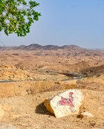 Kombinovaný pobyt v Tunisku - Djerba, Sahara, pevnina