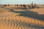 Okruh Saharou na velbloudech