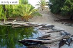 Tunisko, Djerba, Midoun - DJERBA LES DUNES