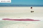 Tunisko, Djerba, Midoun - DJERBA LES DUNES
