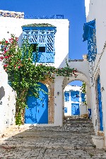 Poznávací okruh Tuniskem z Djerby na pevninu - Sidi Bou Said
