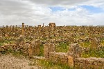 Timgad