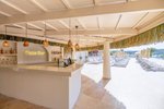 Palm Bar