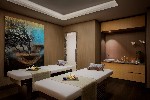 Spa a wellness