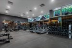 Fitness
